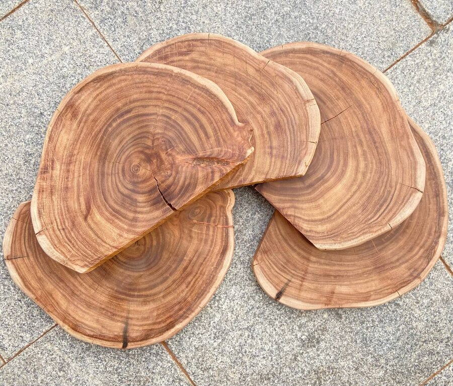 Sanded live-edge slabs fanned out on paving, grain and rings showing